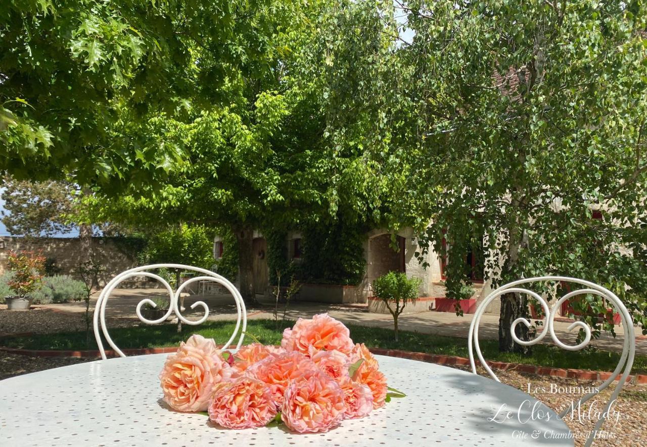 Chambres D'Hotes Les Bournais - Le Clos Milady L'Ile-Bouchard Exterior foto