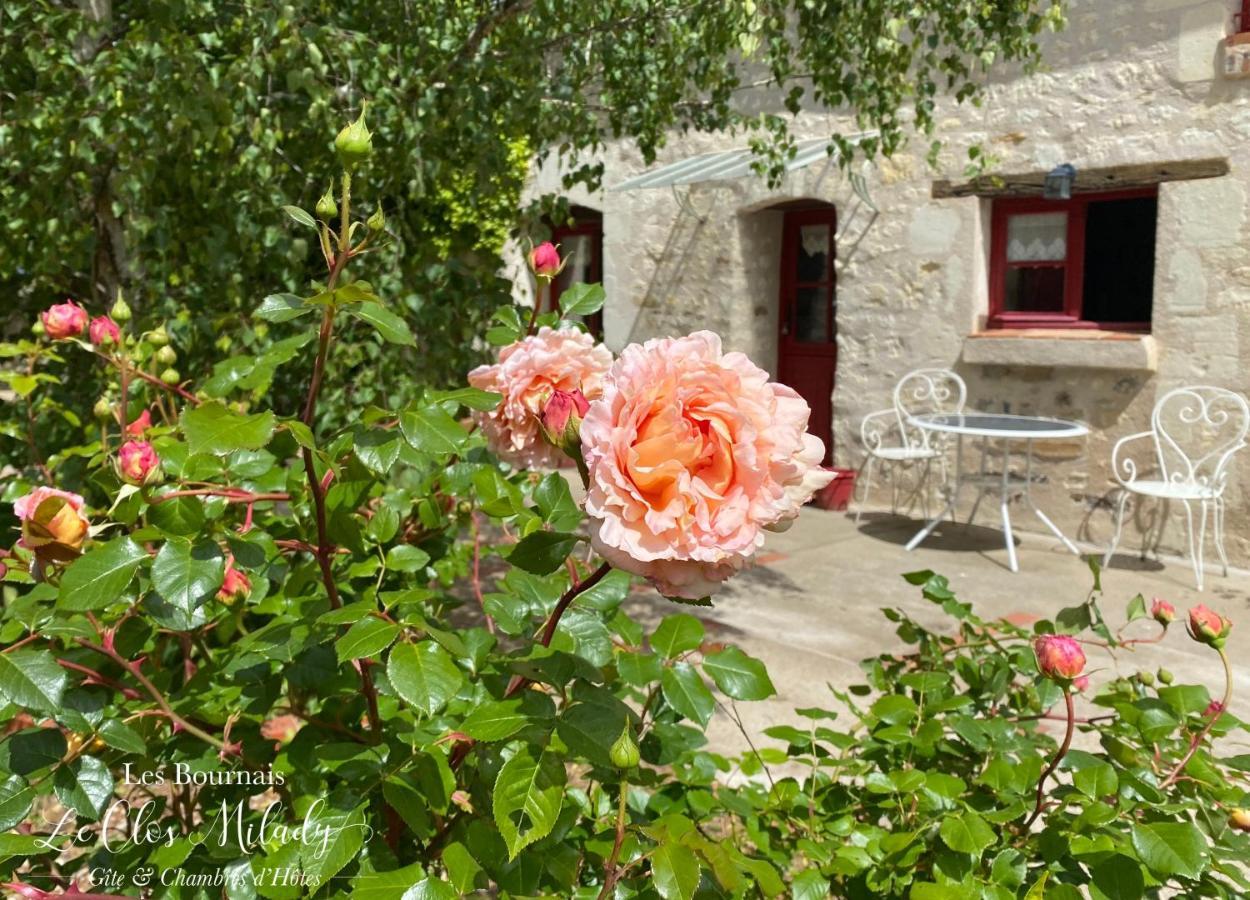 Chambres D'Hotes Les Bournais - Le Clos Milady L'Ile-Bouchard Exterior foto