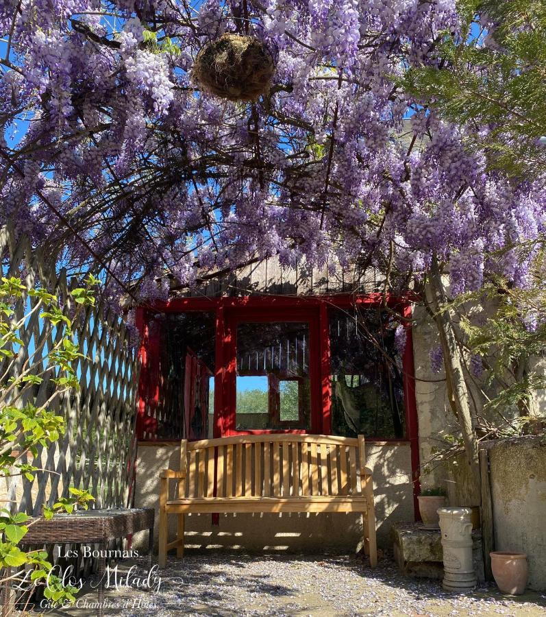 Chambres D'Hotes Les Bournais - Le Clos Milady L'Ile-Bouchard Exterior foto